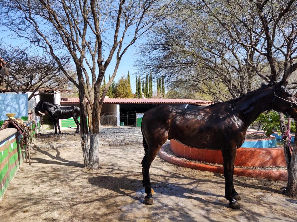 Rancho Labradores Atotonilco  Buitenkant foto